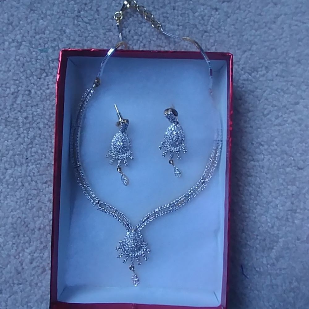 Brand new Necklace and earrings